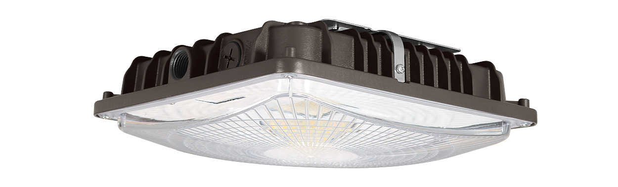 Canopy Light GKOCPG7 60W